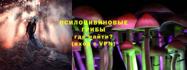 марки lsd Дмитриев