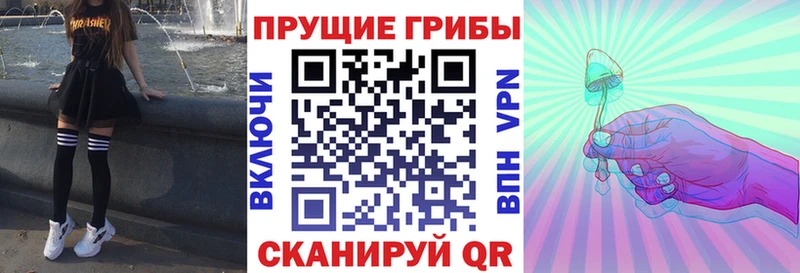 Галлюциногенные грибы мицелий  Купить  Поворино 