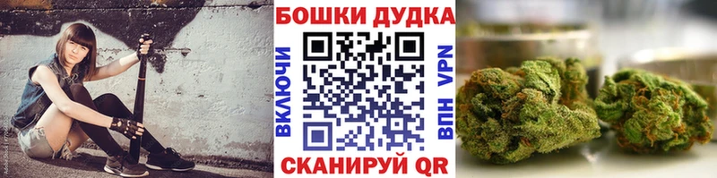 Купить закладки  Поворино  Каннабис Amnesia 